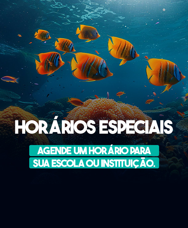 Miniatura 0